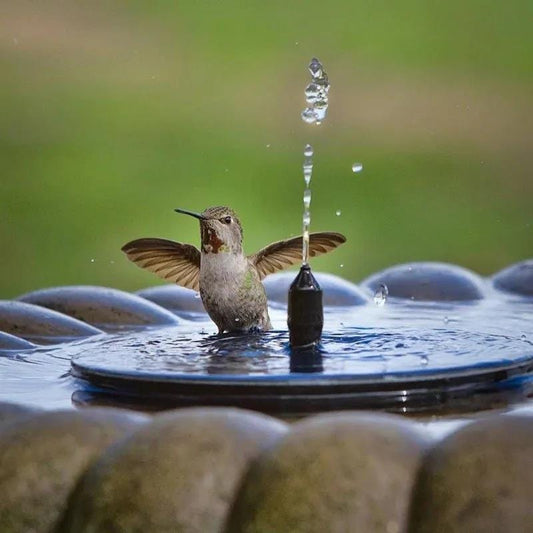 Fountain Solar Power Floating Water Pump for Pool Pond Garden and Patio Plants Round